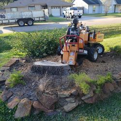 Stump Grinding