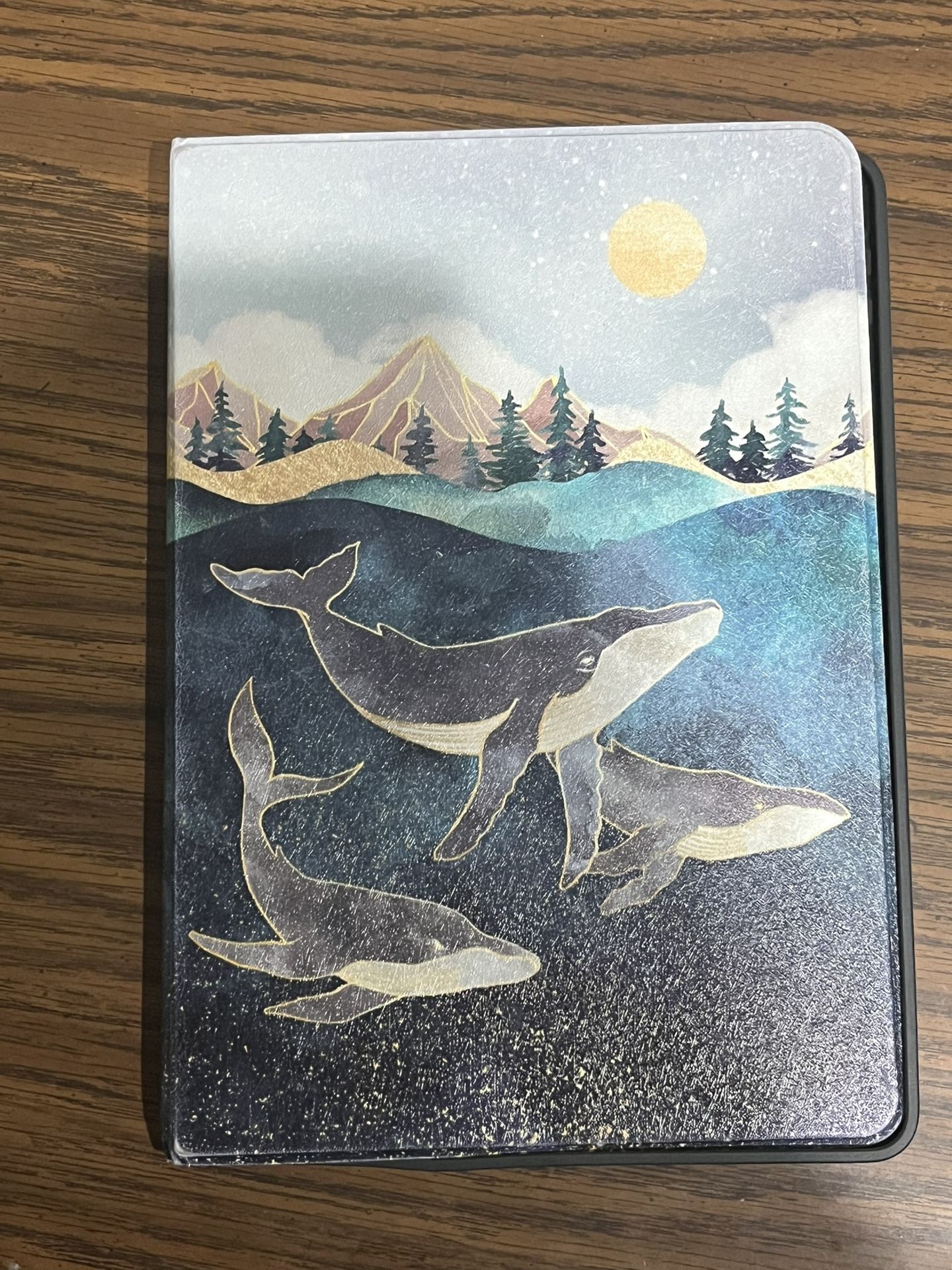 iPad Case