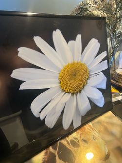 Photography Wall Decor