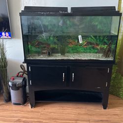 60 Gallon Salt Water Tank