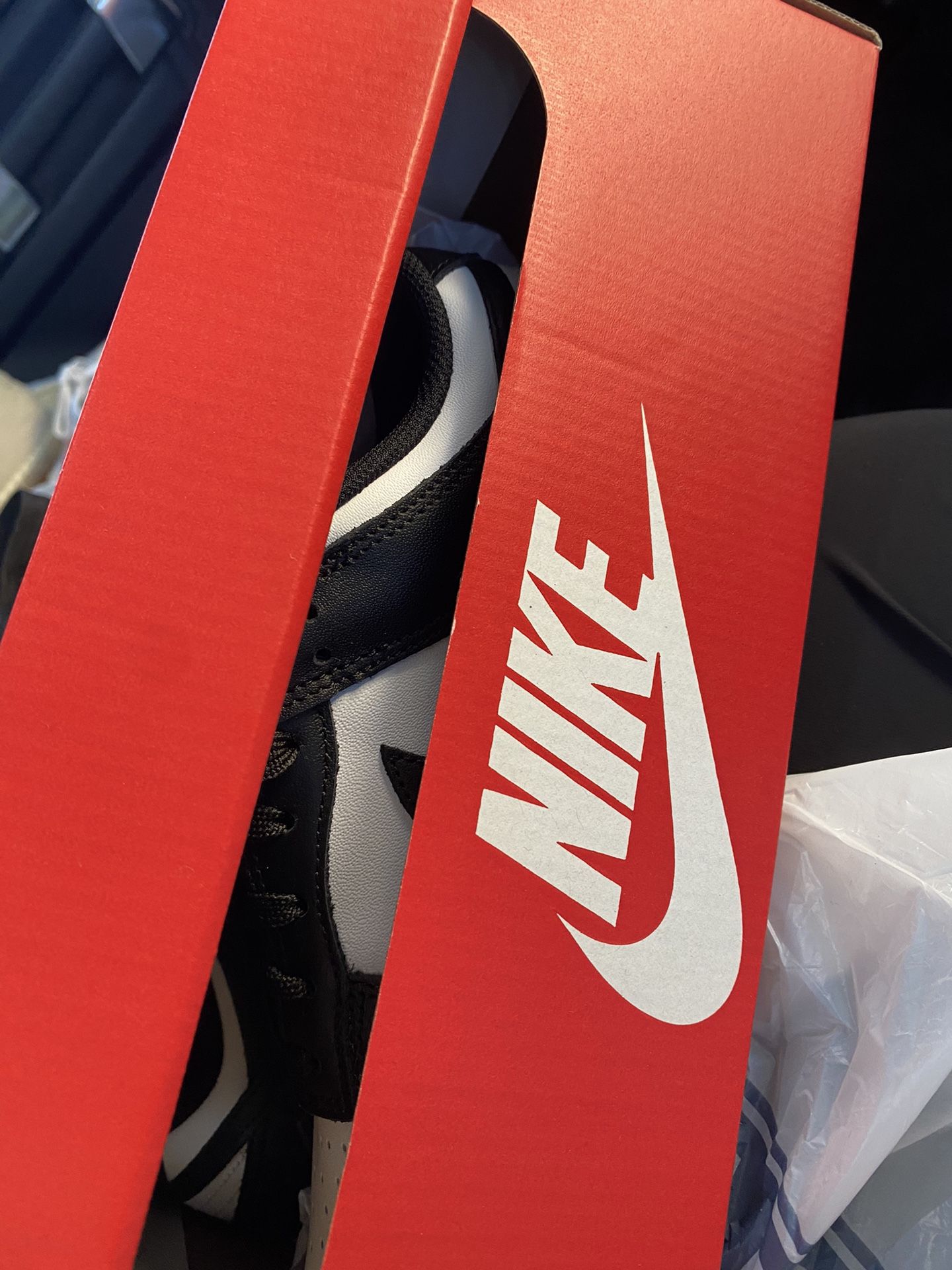 Women Nike Dunks