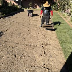Sod Installation 
