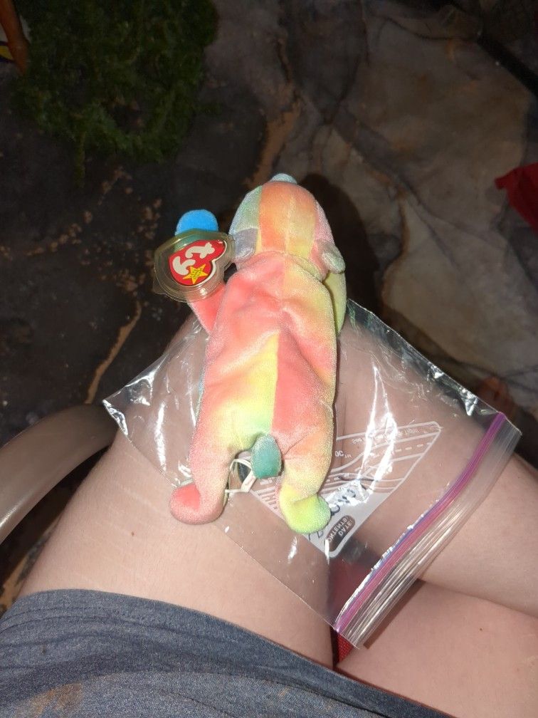 Old 1998 Beanie Baby