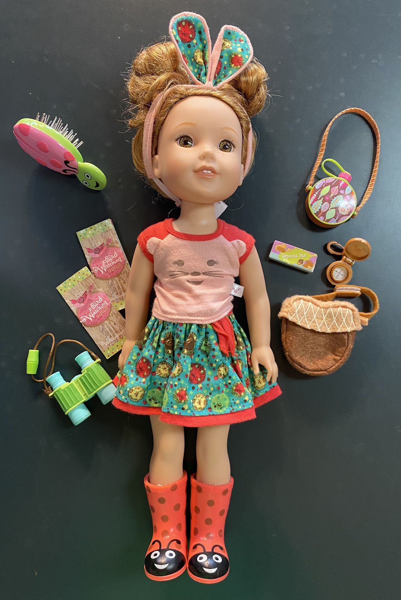 American Girl WellieWishers and Accessories 