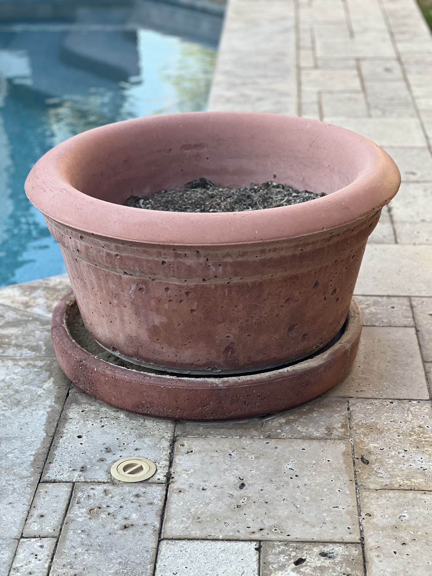 Medium Plant Pot