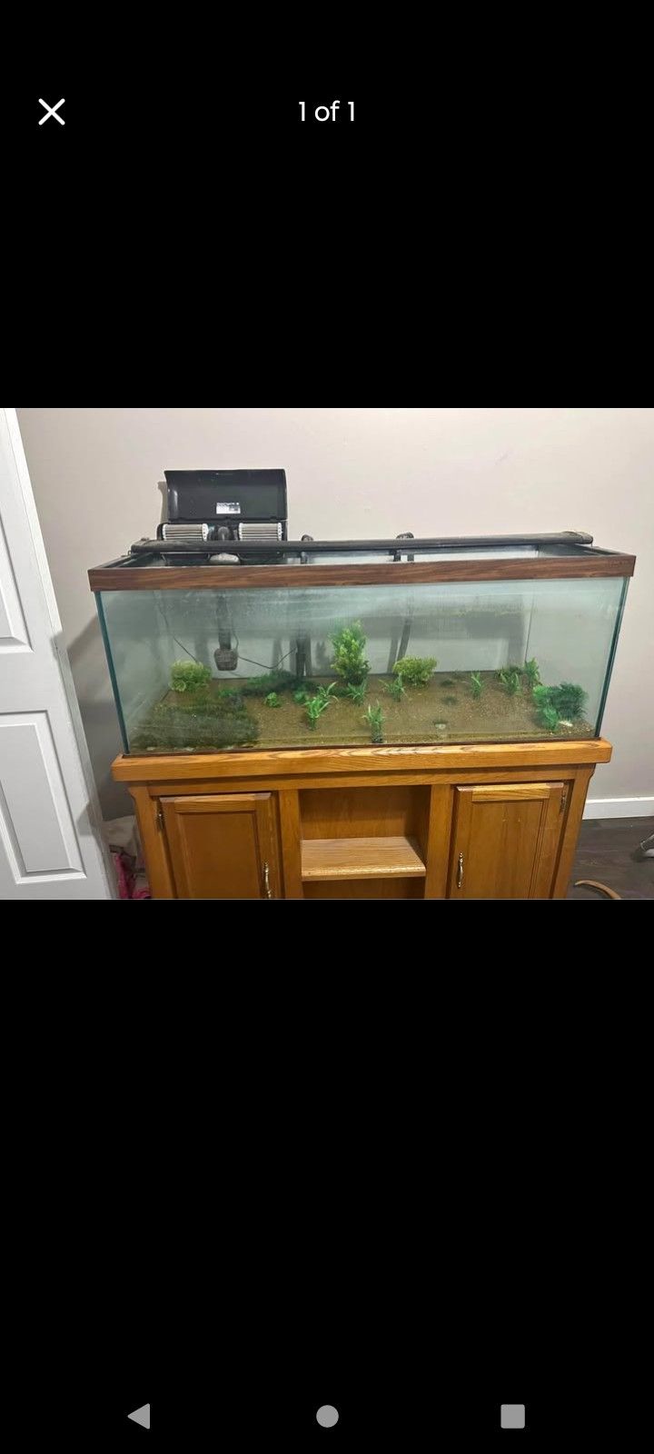 80 Gallon Tank
