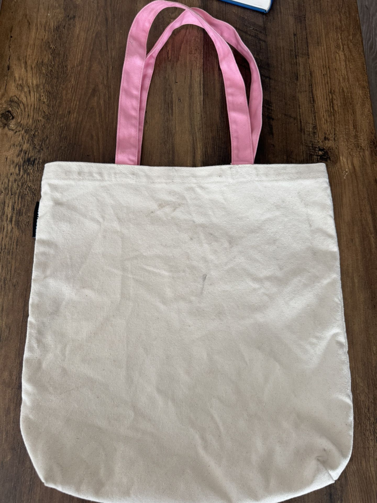 Starbucks Disneyland 2024 Discovery Series Canvas Tote Bag 16"x16"x4.25"