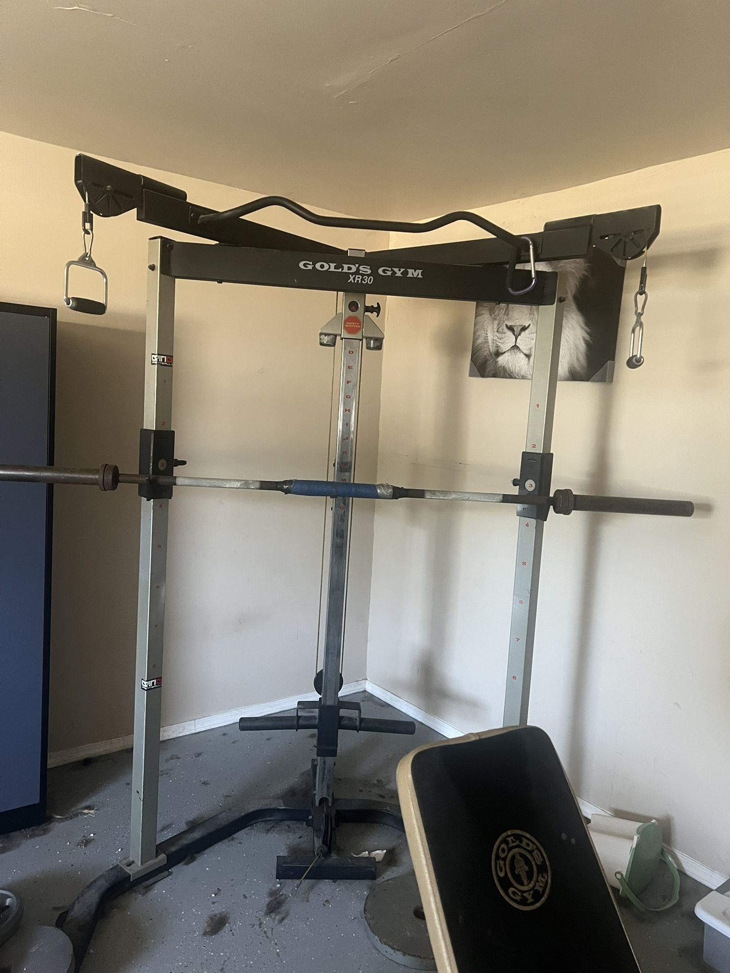 Power Bench Press Rack With Weights