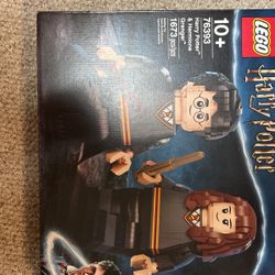 Lego 76393 Harry And Hermione Big Figures