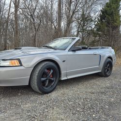 2002 Ford Mustang