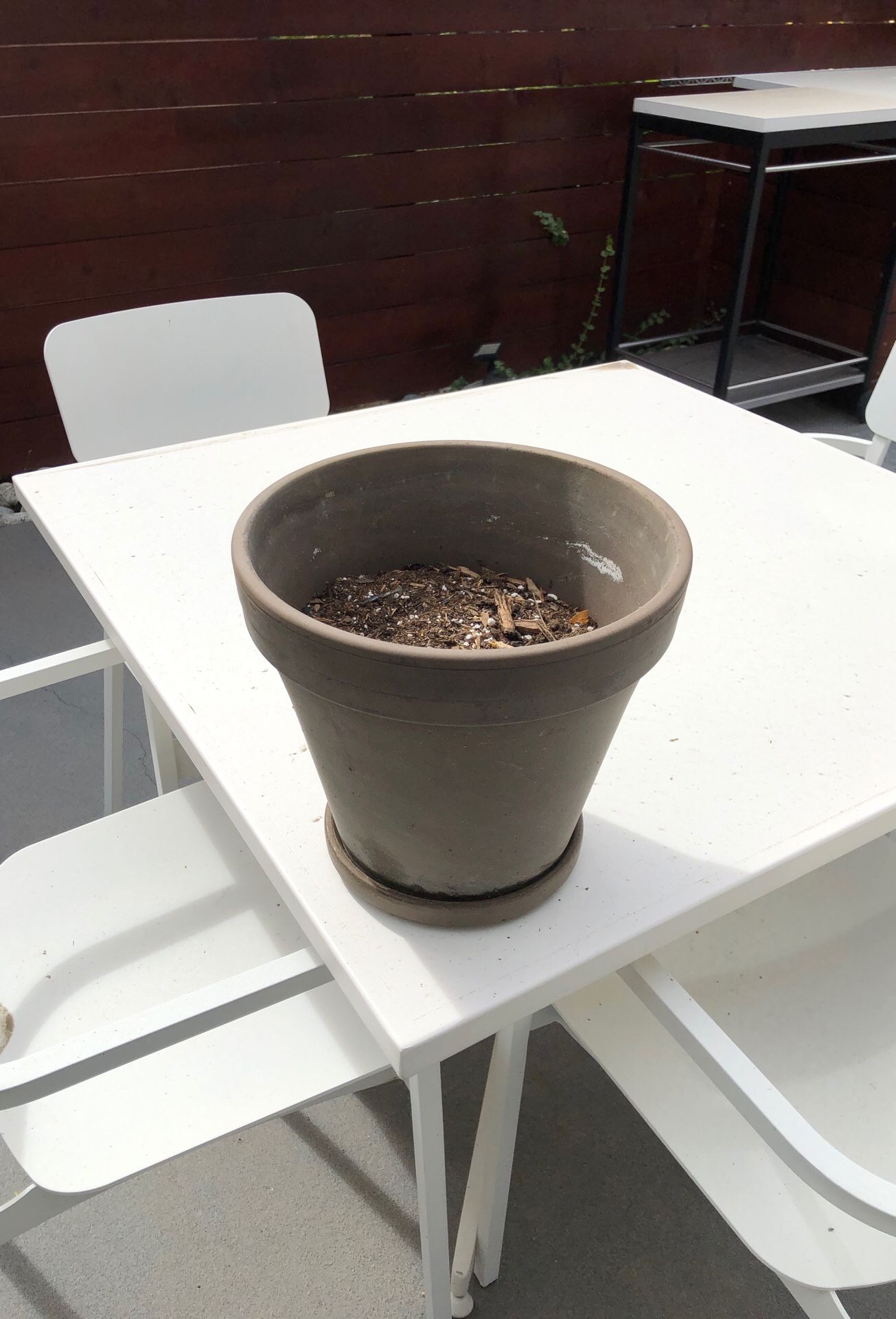 Flower pot with tray
