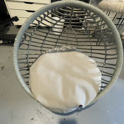 Cat Day Bed 