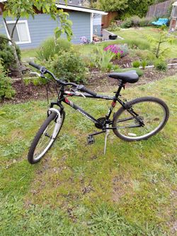 Bike diamond back