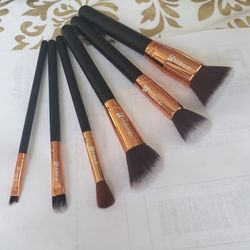 6pcs professional makeup brush set