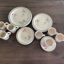 Raspberry Cane By Wedgewood Dinner Set