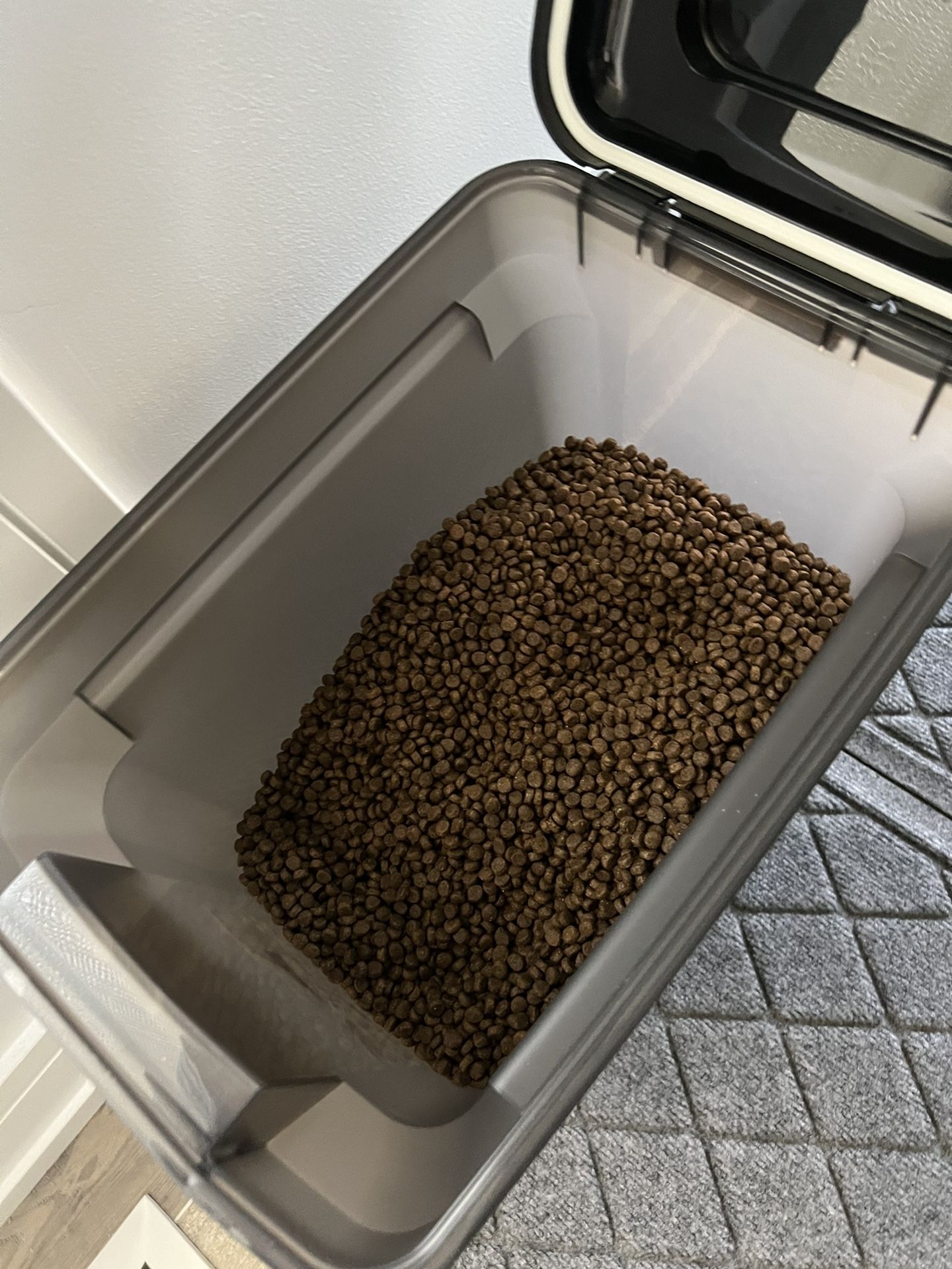 CAT FOOD WITH CONTAINER