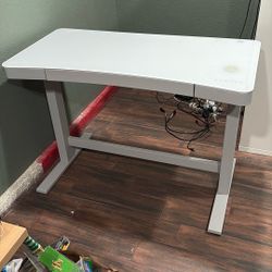 Sit/stand Desk 