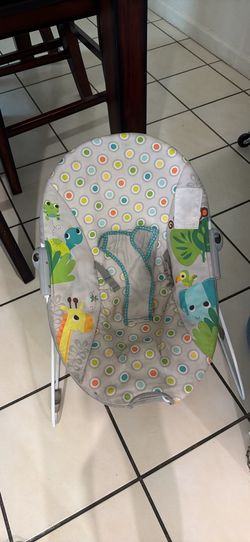 Baby Bouncer