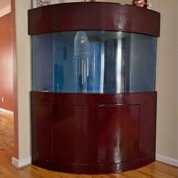 160 Gallon Corner Aquarium 
