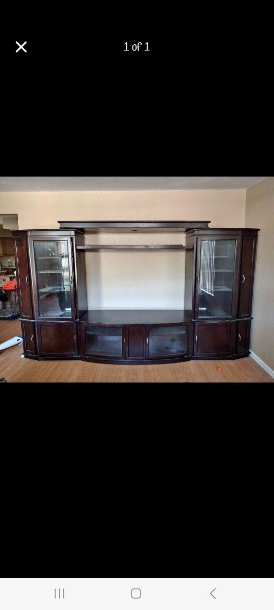 Tv With Lighted Curio Shelves 