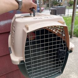 Cat cage 