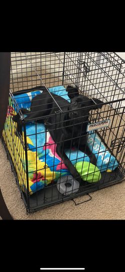DOG CRATE