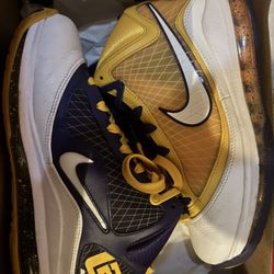 LeBron 7 media day size 6y