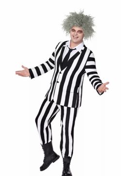 Beetlejuice suit Halloween costume, new size medium, and extra large