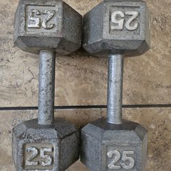 25lb Dumbbell Set 
