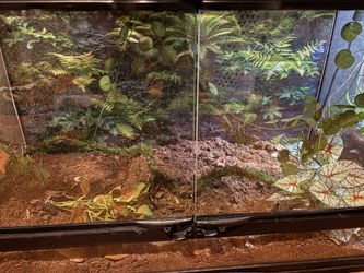 Free Reptile Enclosure  Size: 19.5L x 37.5 W x 19.25 H