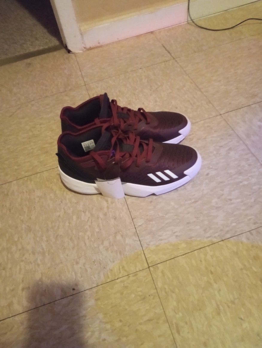 New Adidas Shoes