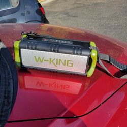 W-King Bluetooth Speaker