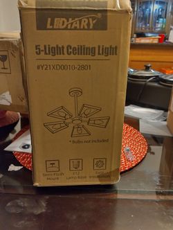 5 Light Ceiling Light 