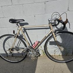 1980s Shogun Road Bike Campagnolo Brake Levers And Shifters 