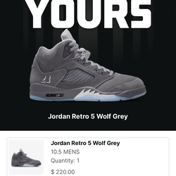 Jordan 5 wolf grey