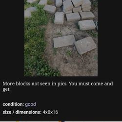 50 or so 4x8x16 Cap Blocks 