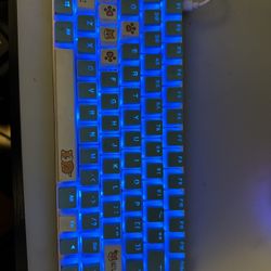 Blue Switch Custom Cap Led Keyboard