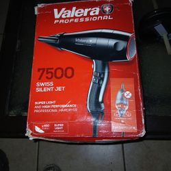 Professional Hair Dryer 
