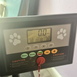 Dog Treadmill 