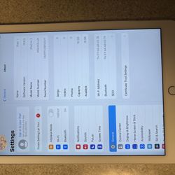 İPad Air 2nd Gen 9.7” Unlocked With Box And Charger 
