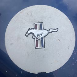 Mustang 