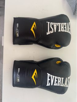 Everlast Boxing Gloves