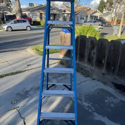 Werner Ladder 6ft 