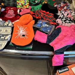 XS-Small Dog Clothes/ Medium Coat