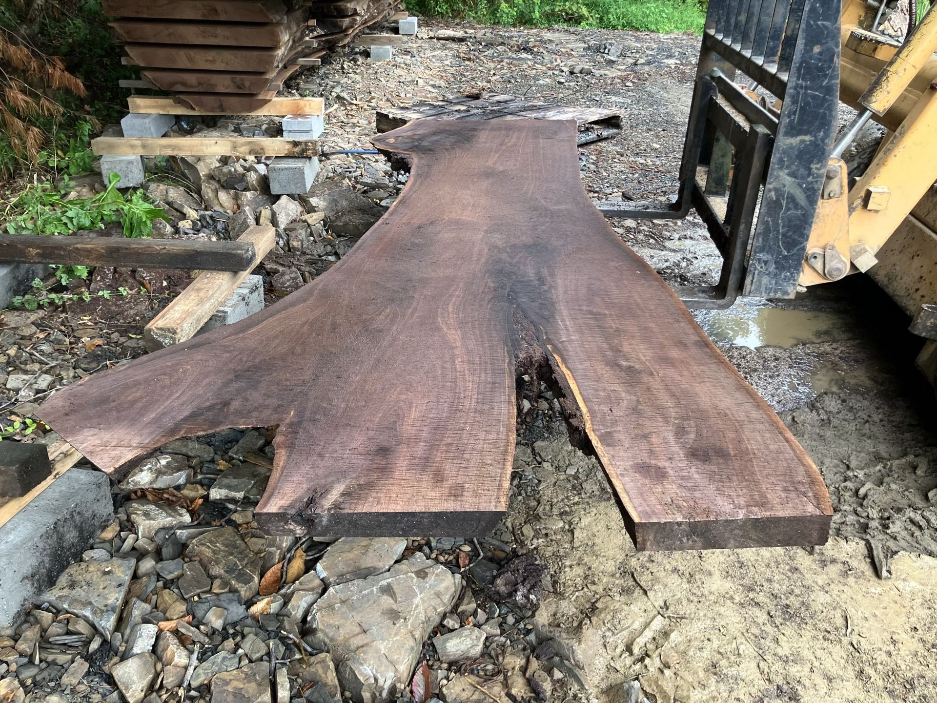 Rough Cut Black Walnut Live Edge Slabs