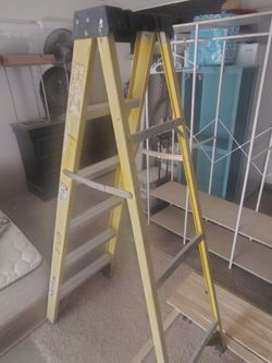 Werner 6ft ladder