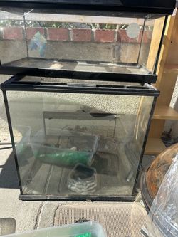 Glass Reptile Terrariums Set of Two