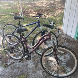 Schwinn Bicycles , X2. 