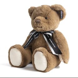 Teddy bear