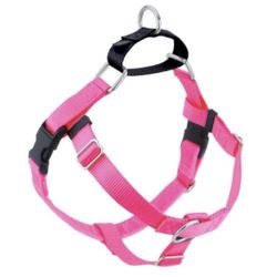 Freedom No-Pull Dog Harness & Leash 